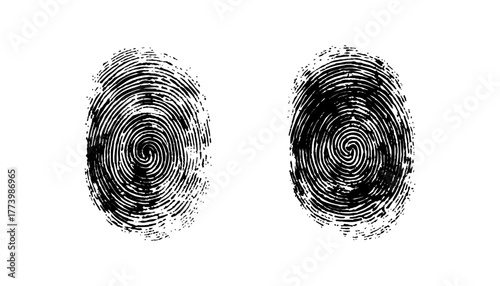 Two black fingerprint on a white background. High-quality black fingerprints isolated on a white background, biometric ID scan, forensic analysis, transparent cutout for digital use. 