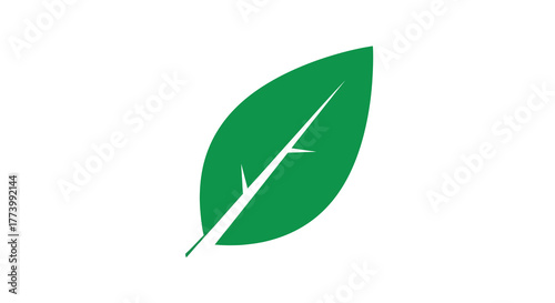 Simple green leaf design on white background