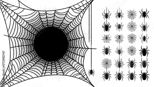 Spider Web and Spider Silhouettes Spooky Halloween-Themed Vector Illustrations