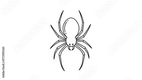 Creepy Spider Outline Vector Illustration for Halloween, Nature, and Insect-Themed Designs