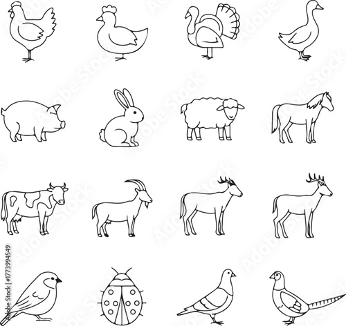 Collection of farm animal line drawings