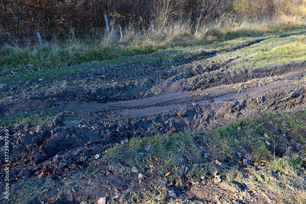 Fototapeta premium A neglected dirt road with deep ruts filled with mud runs through a patch of dry grass and bushes, highlighting the off-road conditions and the rural landscape. 