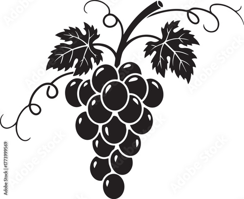 Elegant grapevine illustration with leaves and tendrils, perfect
