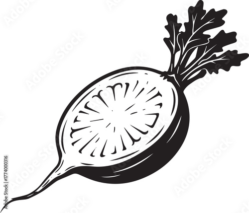 Monochrome illustration showcasing a halved radish with leafy gr