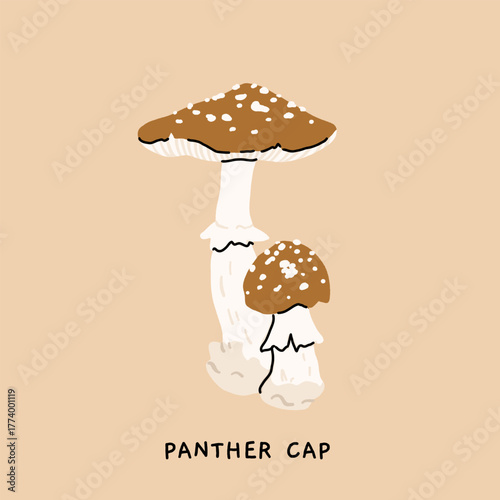 Toxic poisonous mushrooms flat vector set. Amanita fly agaric, panther cap, sulphur tuft, false morel, shaggy mane, fools webcap, the sickener. Educational botanical poster illustration.