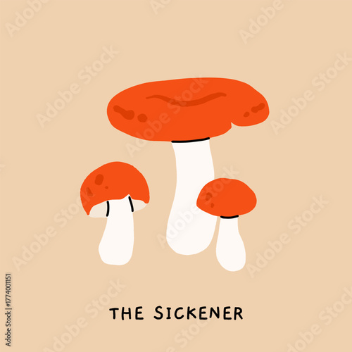 Toxic poisonous mushrooms flat vector set. Amanita fly agaric, panther cap, sulphur tuft, false morel, shaggy mane, fools webcap, the sickener. Educational botanical poster illustration.