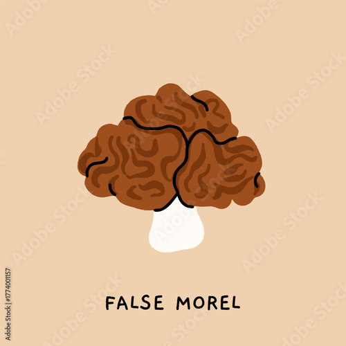 Toxic poisonous mushrooms flat vector set. Amanita fly agaric, panther cap, sulphur tuft, false morel, shaggy mane, fools webcap, the sickener. Educational botanical poster illustration.