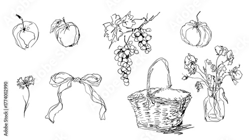 Fruits and Flowers Line Art — Minimalist Still Life Illustration