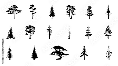 Tree silhouette set | Pine and forest tree vector collection