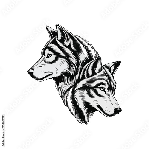 Abstract wolf illustration showing two heads facing each other balanced composition fine line vector ideal for tattoo design and stock graphics.02
