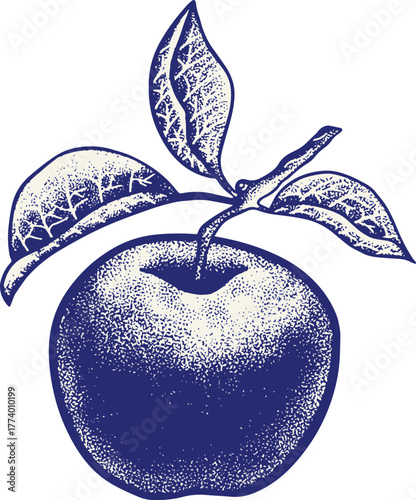 Fresh red apple with green leaf and water drops vector illustration