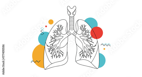 A minimalist line art illustration of the human lungs and trachea, representing respiratory health and medical concepts, with abstract colorful shapes on a white background.