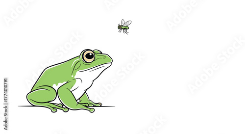 A vibrant green frog with large, watchful eyes is poised, fixated on a small, dark fly hovering just above its field of vision, anticipating a meal.