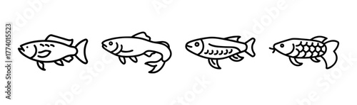 Arowana fish vector illustration scalable aquatic animal art