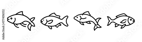 Elegant carp vector illustration for aquatic themes and design