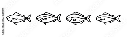 Dorado mahi mahi fish vector illustration scalable aquatic marine life