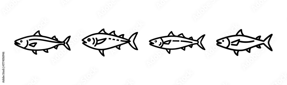 Fototapeta premium King mackerel fish vector illustration seafood animal aquatic marine