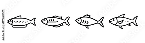 Herring fish vector illustration scalable graphic art