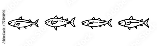 King mackerel fish vector illustration seafood animal aquatic marine
