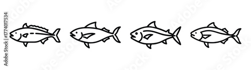 Vector illustration of an amberjack fish swimming ocean marine wildlife