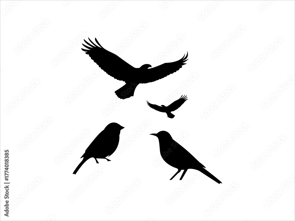 Obraz premium Black Bird Silhouette vector Illustrations on White Background 