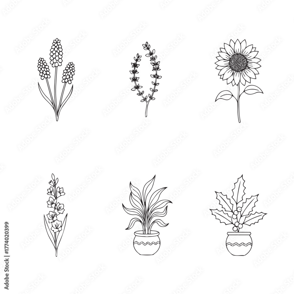 Fototapeta premium A collection of six hand-drawn line art illustrations featuring a sunflower, potted plants, and garden flowers.