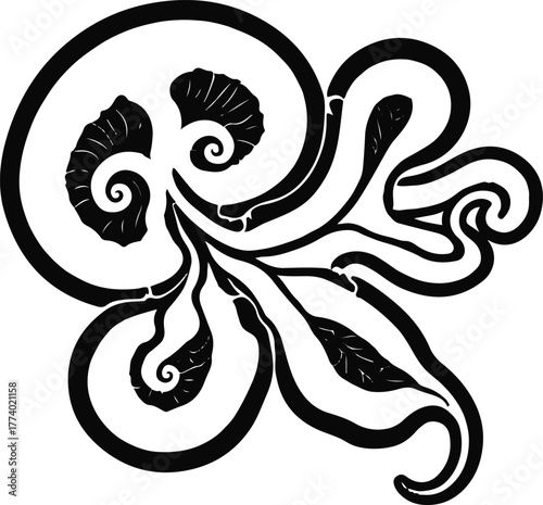 Sea cucumber pattern cross-section outline, educational style, clean black contour, white background, premium marine science illustration