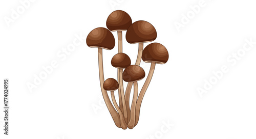 Vector25849 realistic mushroom fungus