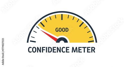 Vector26034 gauge meter confidence