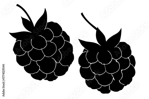 🍇 Vector illustrations of fresh raspberry, blackberry, and grape fruit on a **vine