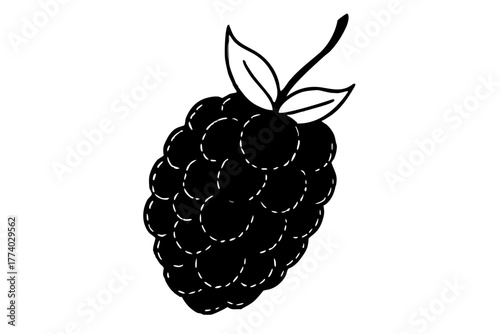 Vector illustrations of fresh, ripe raspberries and blackberries isolated on white