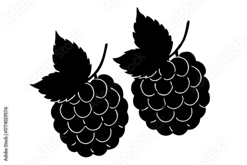 Ripe blackberry and raspberry vector illustration with fresh green leaf and