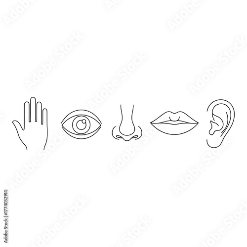 Senses icons