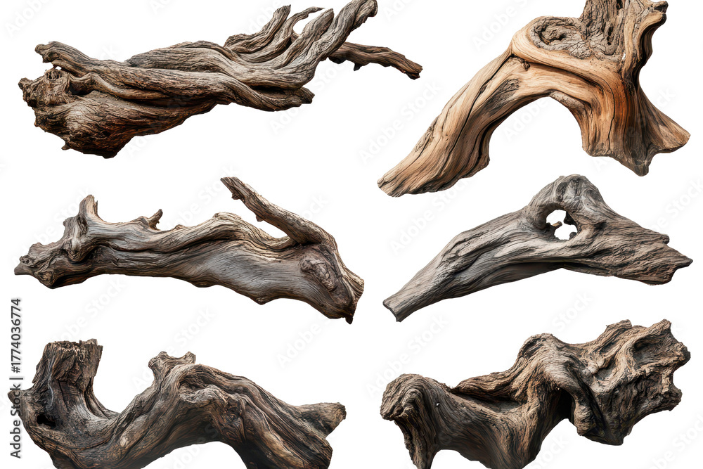 Fototapeta premium Twisted tree roots showcase natural artistry and unique shapes in a collection of intricate wood formations isolated against a plain background