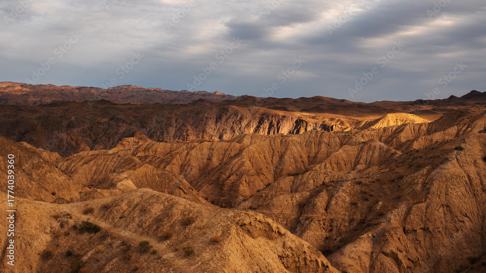 Naklejka premium Golden Kazakh steppes contrast with red-rock canyons and labyrinthine cliff formations