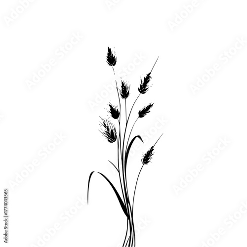 Silhouette illustration of a wheat stalk with multiple ears on a white background design element