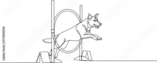 Dog jumping through hoop in agility course line vector, transparent background  