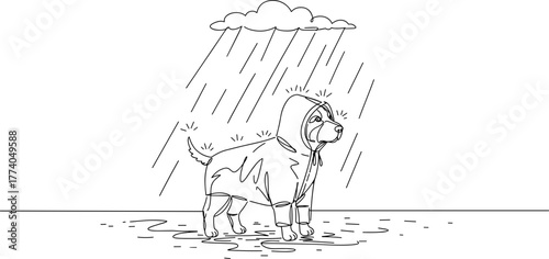 Dog wearing raincoat standing in rain with puddles on ground  