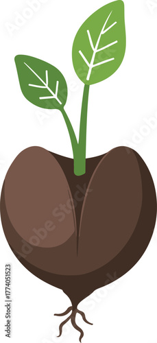 Plant growth stages illustrated seed sprout 