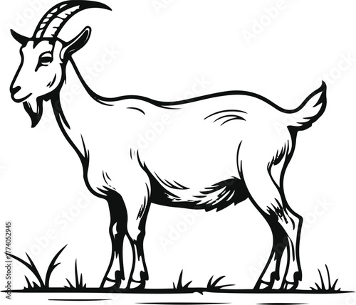 Goat grazing pose line art, thin black stroke, white background, simple natural farm posture, minimalist livestock illustration 3