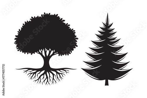 Silhouettes of a deciduous tree with roots and a coniferous tree