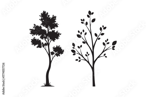 Silhouettes of two distinct trees against a white background