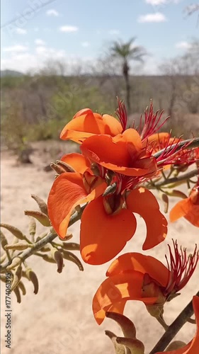 flowers in the garden
