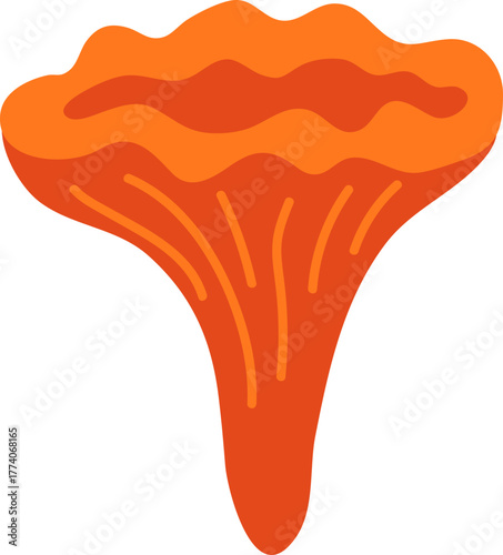 chanterelles mushroom