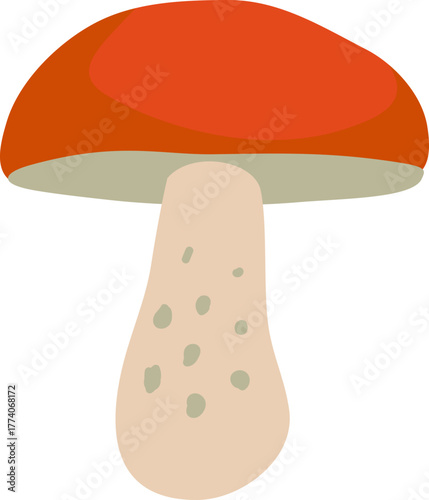 aspen boletus mushroom