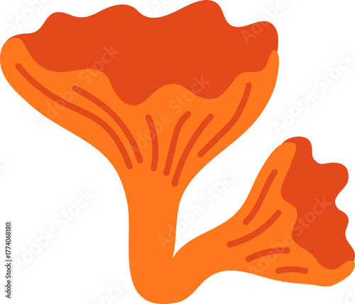 chanterelles mushroom