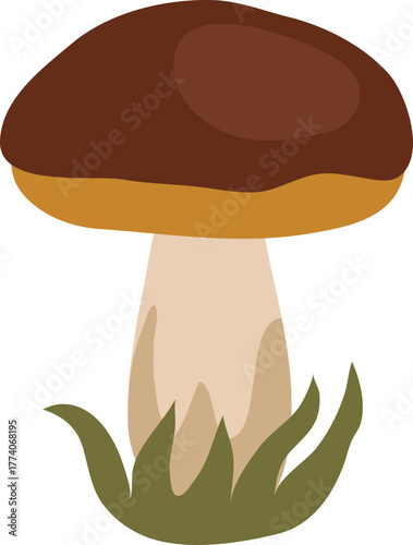 porcini mushroom