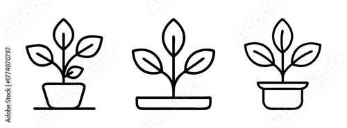 Three potted plants vector illustration for indoor gardening and home decor botanical design elements