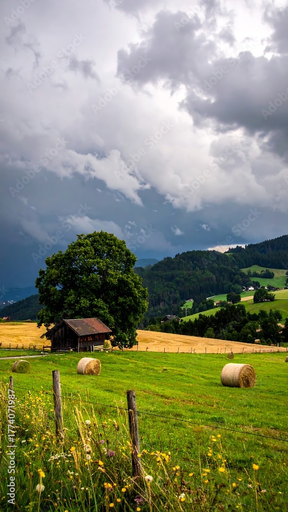 Obraz premium A lush green field with round hay bales and stormy clouds over a wooden farm building