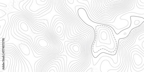 Topographic map background. Geographic line map with elevation assignments.Topographic lines, contour background. topo map texture. Dense lines, Background of the topographic map.